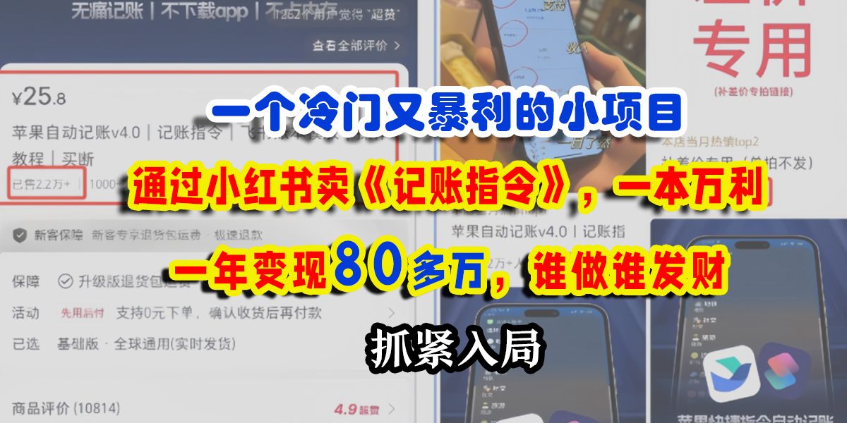 一个冷门又暴利的小项目，通过小红书卖《记账指令》，一本万利，一年变现80多万，谁做谁发财-西瓜网创