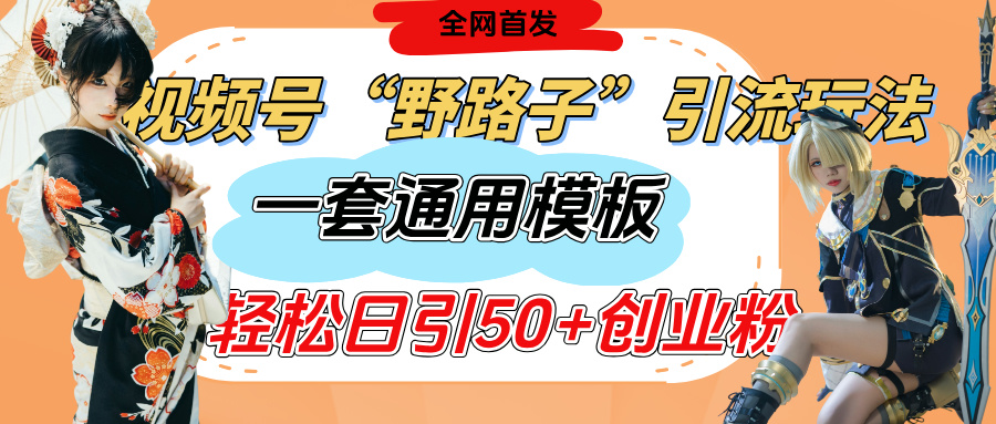 视频号“野路子”玩法，评论区疯狂截流，一套模板单日单号引流50+创业粉-西瓜网创