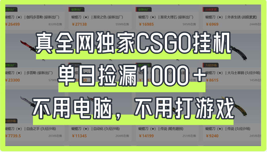 真全网独家CSGO挂机,单日捡漏1000+-西瓜网创