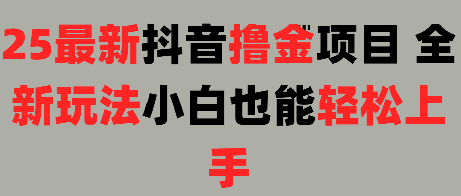 25最新抖音直播撸金项目，小白也能轻松上手！-西瓜网创
