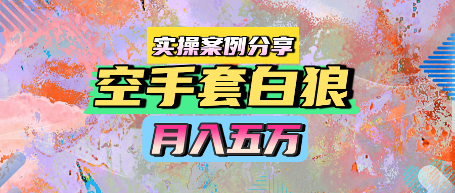 空手套白狼，月入五万，实操案例分享-西瓜网创