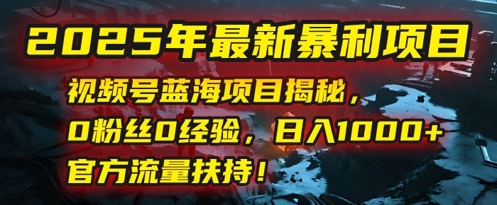 2025年最新暴利项目：视频号蓝海项目揭秘，0粉丝0经验，日入1000+，官方流量扶持！-西瓜网创