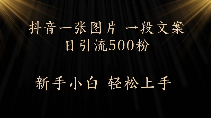 抖音一张图片，一段文案日引流500粉，新手小白 轻松上手-西瓜网创