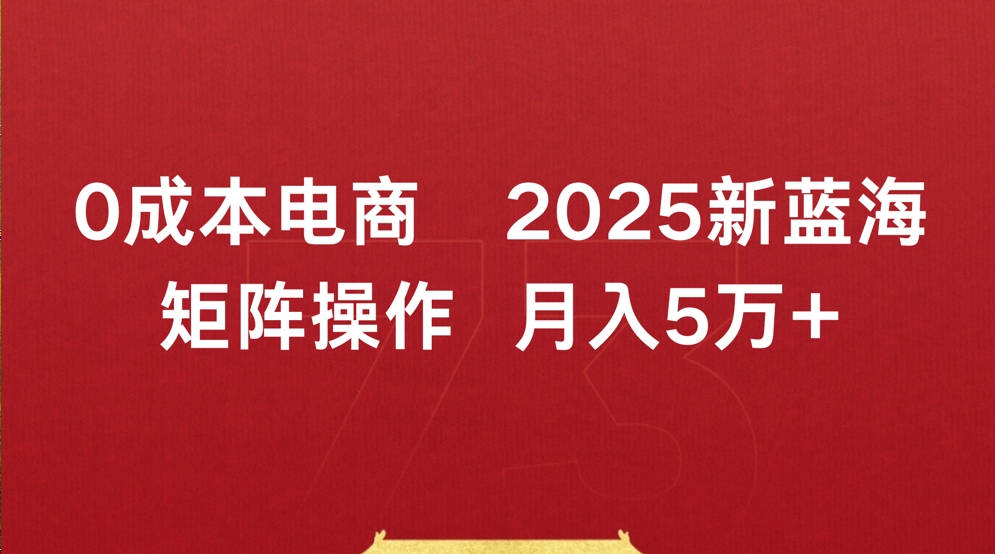 0成本电商2025新蓝海矩阵操作 月入5万+-西瓜网创