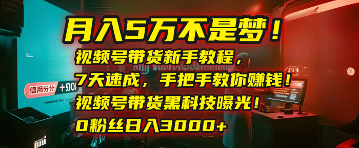 月入5万不是梦！视频号带货新手教程，7天速成，手把手教你赚钱！视频号带货黑科技曝光！0粉丝日入3000+-西瓜网创