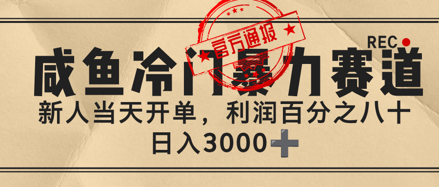 闲鱼，冷门暴力赛道，一单 80%利润，新人轻松日入 3000+-西瓜网创
