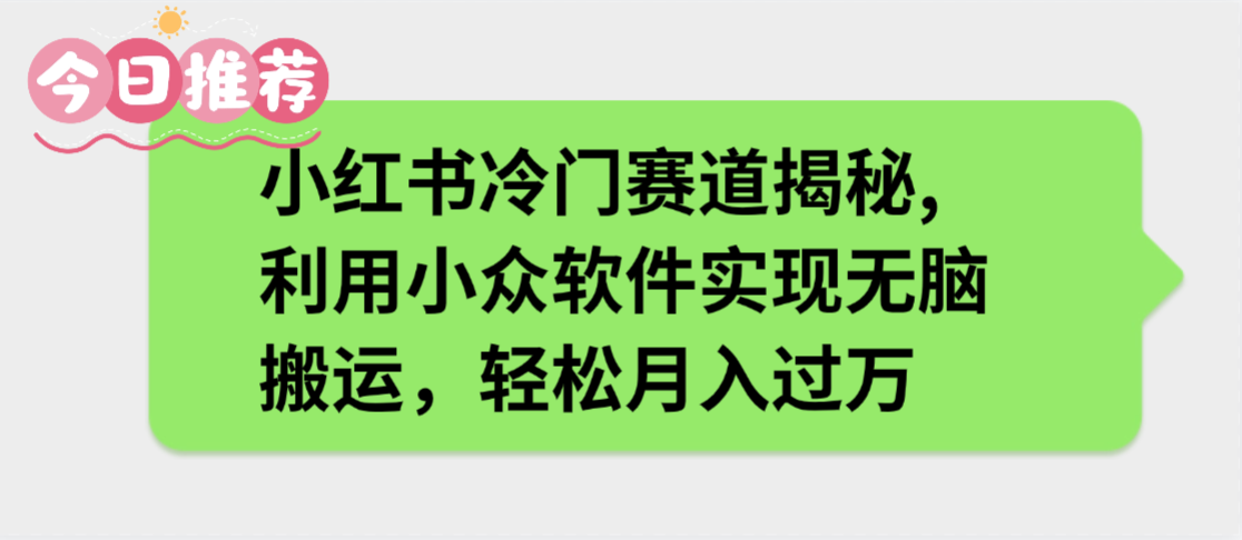 小红书冷门赛道揭秘,利用小众软件实现无脑搬运，轻松月入过万-西瓜网创