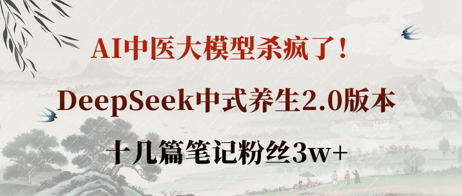AI中医大模型杀疯了！DeepSeek中式养生2.0版本，十几篇笔记粉丝3w+-西瓜网创